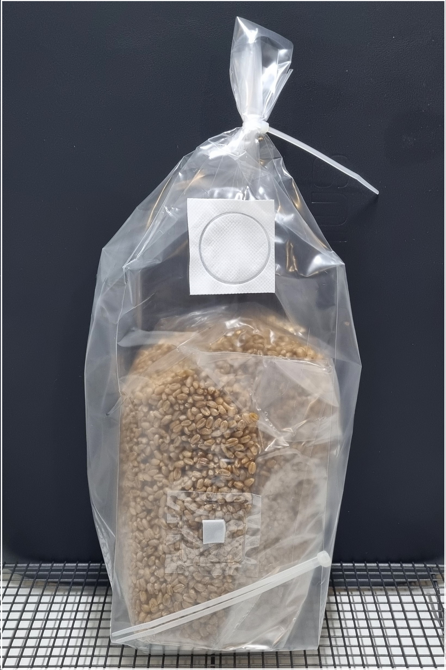 2 X 1.6kg each Sterile Large Injection Port Wheat Grain Bags FREE SHIPPING Custom Made To Order