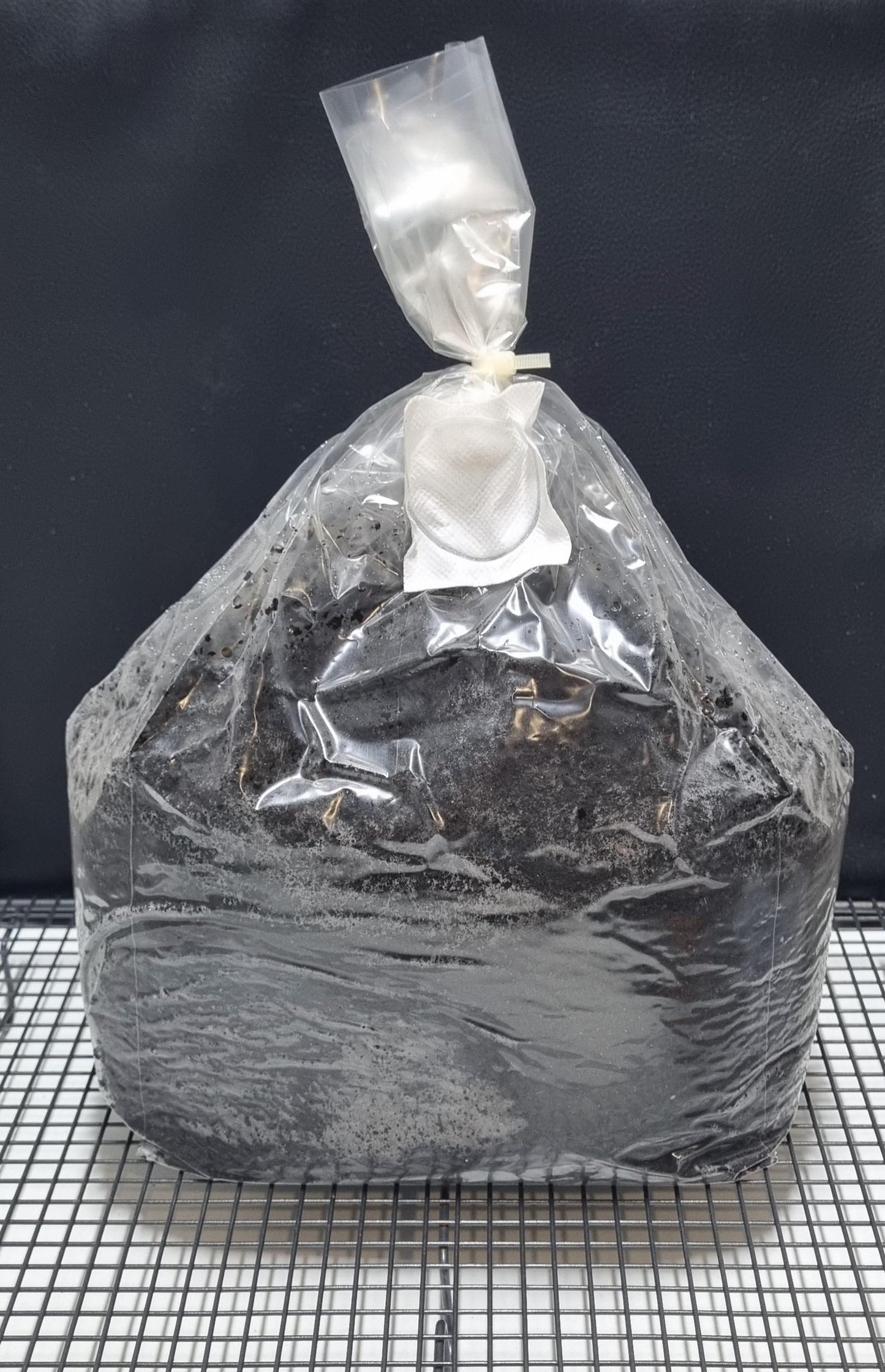 2.2KG Bag of Sterile Organic Casing Layer- Custom Made To Order