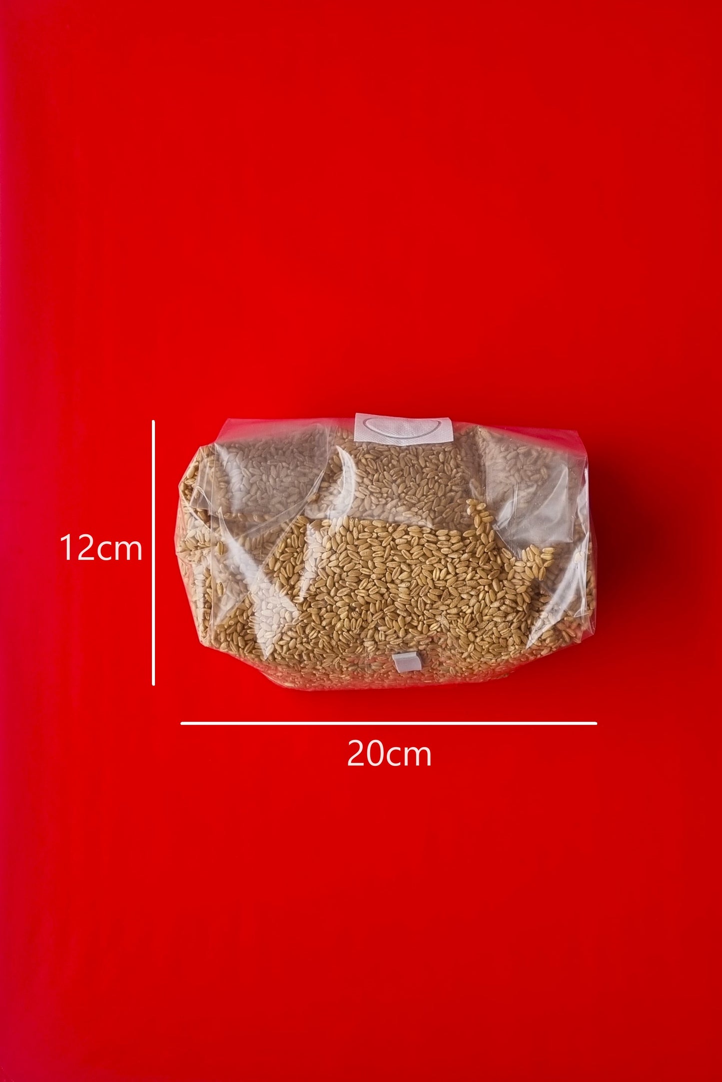 Large Grain Bags 20x12x45cm .20 Filter with Injection Port